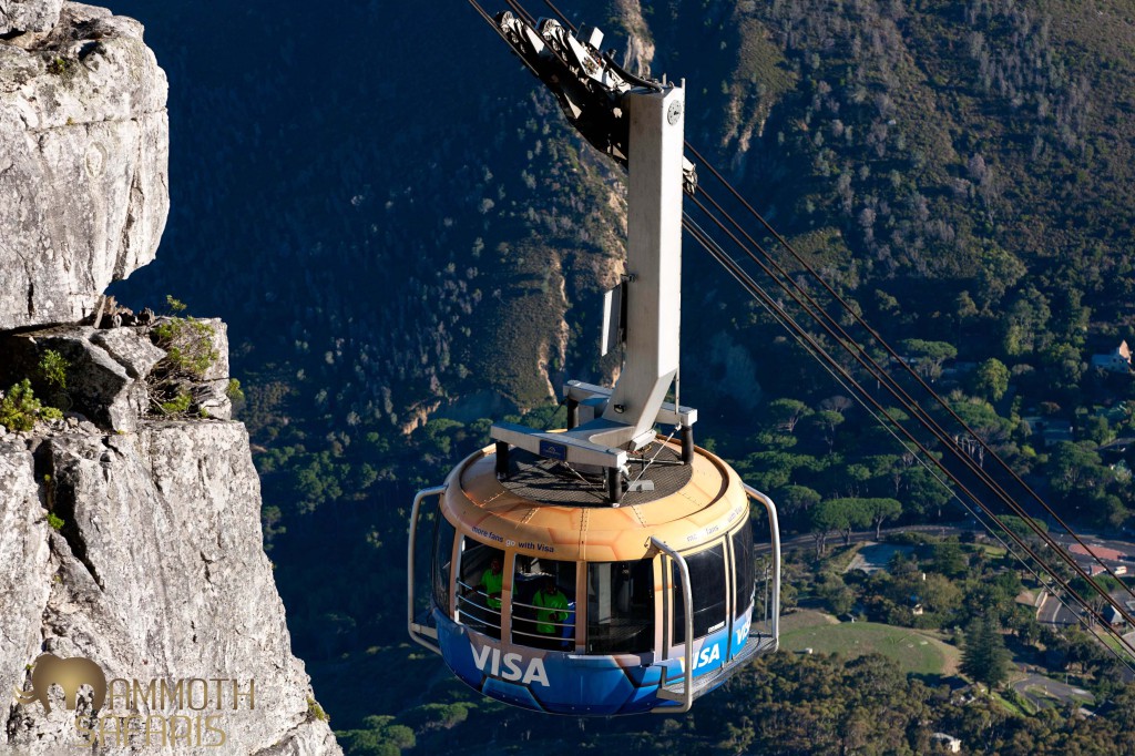 Its always best to get up early to enjoy the spectacular views from the cable car on Table Mountain. 