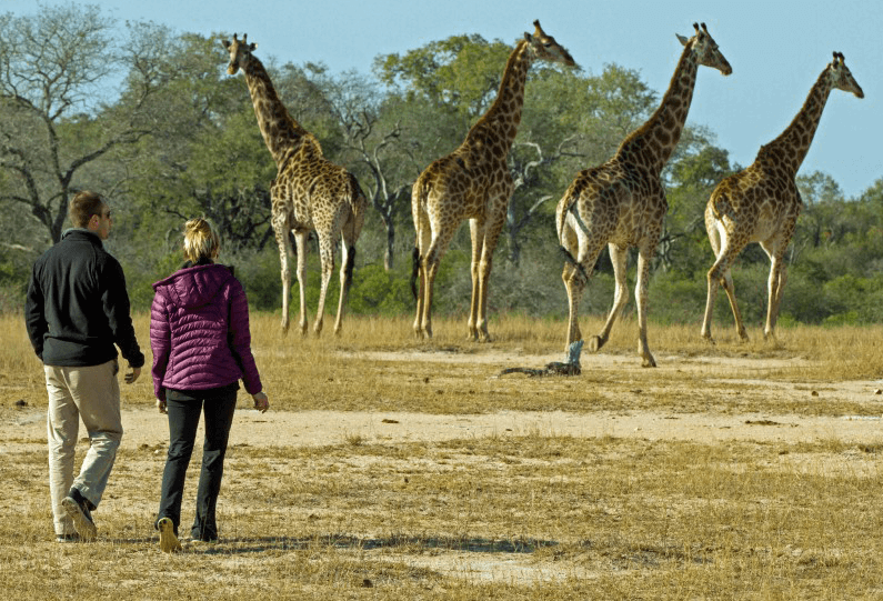 Family Safari to Africa