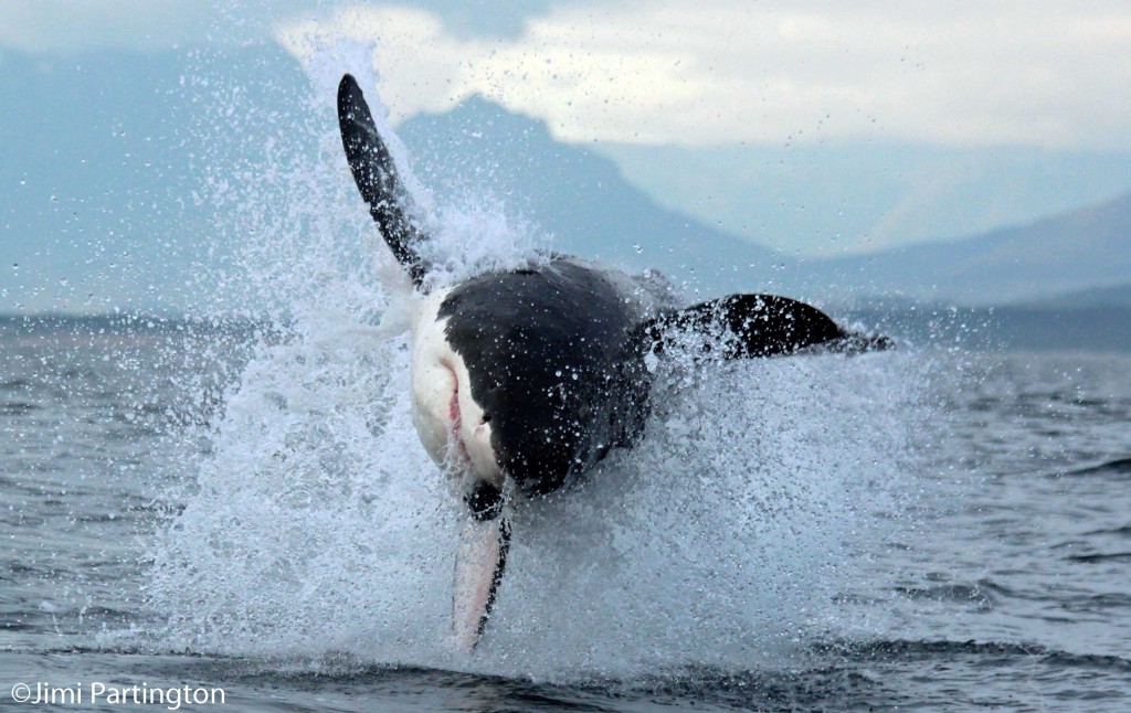 A special thanks to Jimi Partington from the Apex team who shared his incredible sequence of photos with us. 