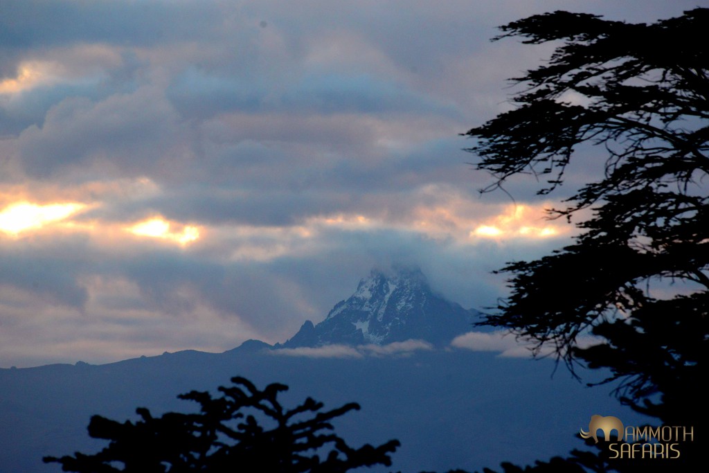 one has to be up early to catch a glimpse of this incredible mountain