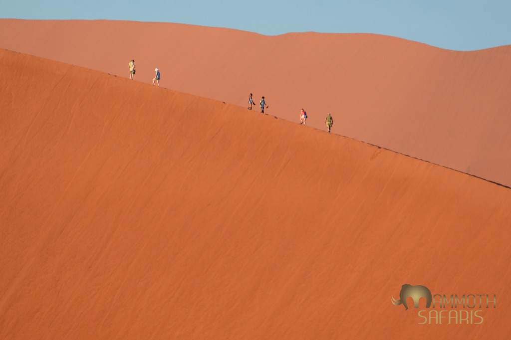 It requires a little sweat, but the views from the dune tops and the freedom to get down how you please are both worth it!