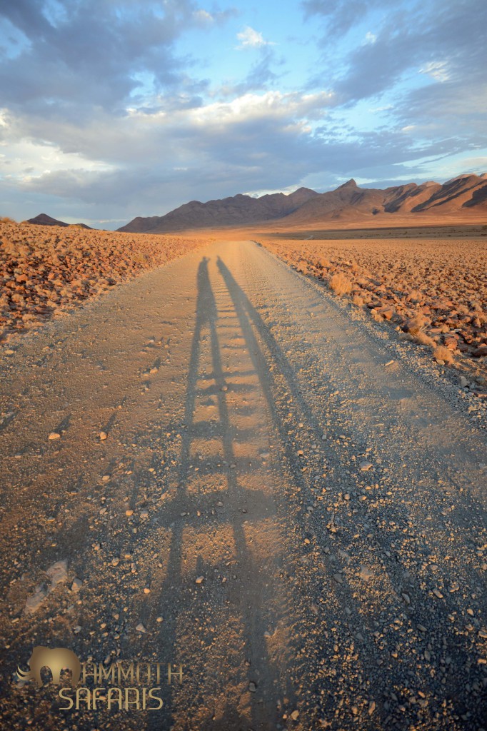 The Namib Rand Reserve is a photographer's paradise - colour, texture, space, contrasts and more...
