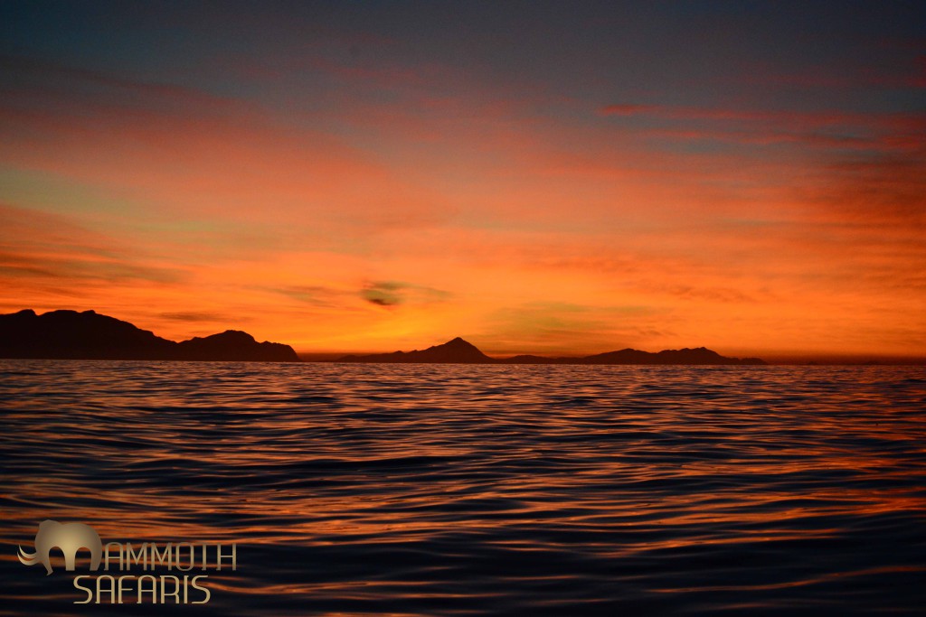 Daybreak in False Bay off Cape Town is a real treat especially when the sea is a millpond! This is the view towards the Kogelberg Biosphere Reserve as we head towards Cape Point.