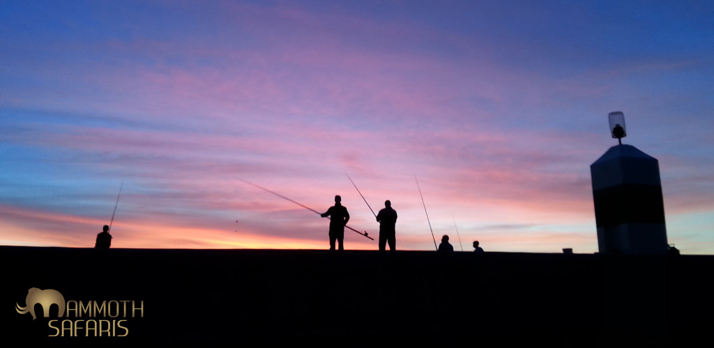 I enjoyed snapping these fisherman as we entered Gordon's Bay harbour