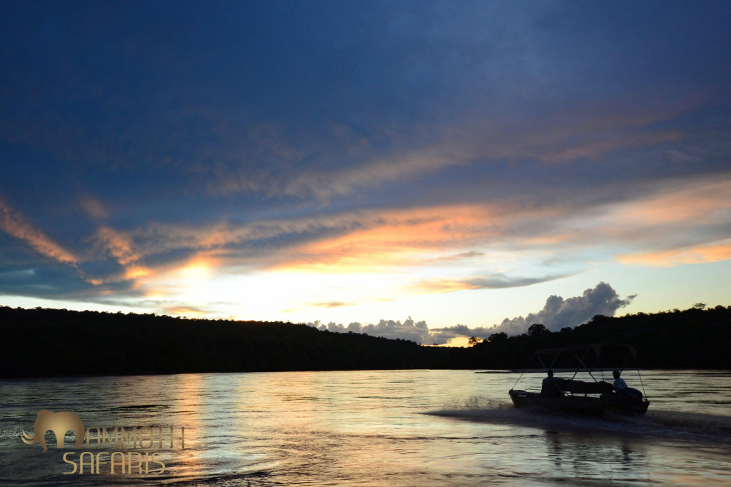 There is no better way to end a day in the bush than cruising the river - sundowners on the move as the Osprey head to bed and the hippos start making their way out to forage.