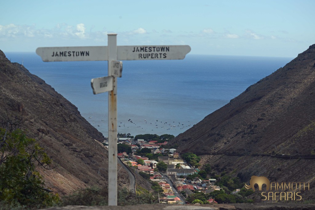 A view from the hillsides down to the 'capital' of Jamestown - all in the middle of the Atlantic Ocean, about 2000 kilometers from Africa!