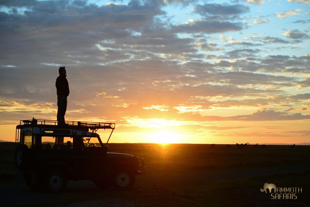 After photographing the herd of zebras at dawn I took a moment to perch on our trusty landy to enjoy the elevated view (thanks Mark)