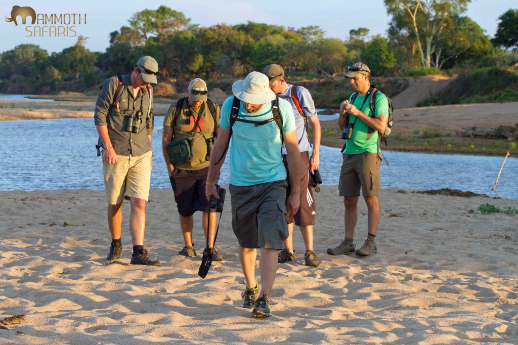 Tracking at the confluence of of the Limpopo and Levuvu rivers.