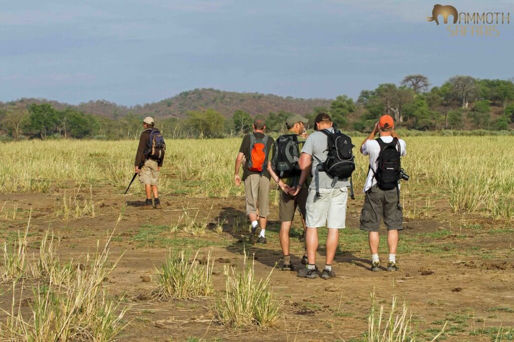 Take A Walk On The Wild Side