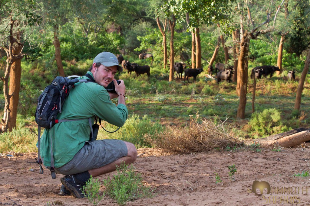 Brett, head of sustainability at Wilderness Safaris enjoying a fantastic photographic opportunity with buffalo. 