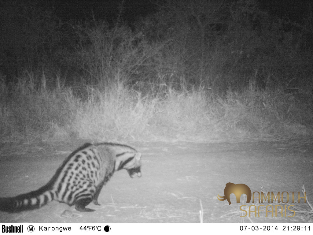 A picture says a thousand words!