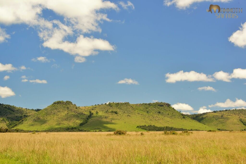 The ‘Out of Africa’ site where the superb new Angama Mara lodge will be opening soon.