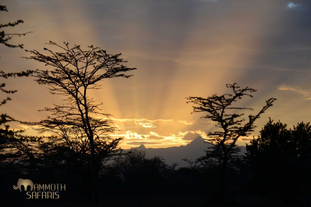 The chance to photograph this iconic mountain in a different mood each day is my motivation for rising early.