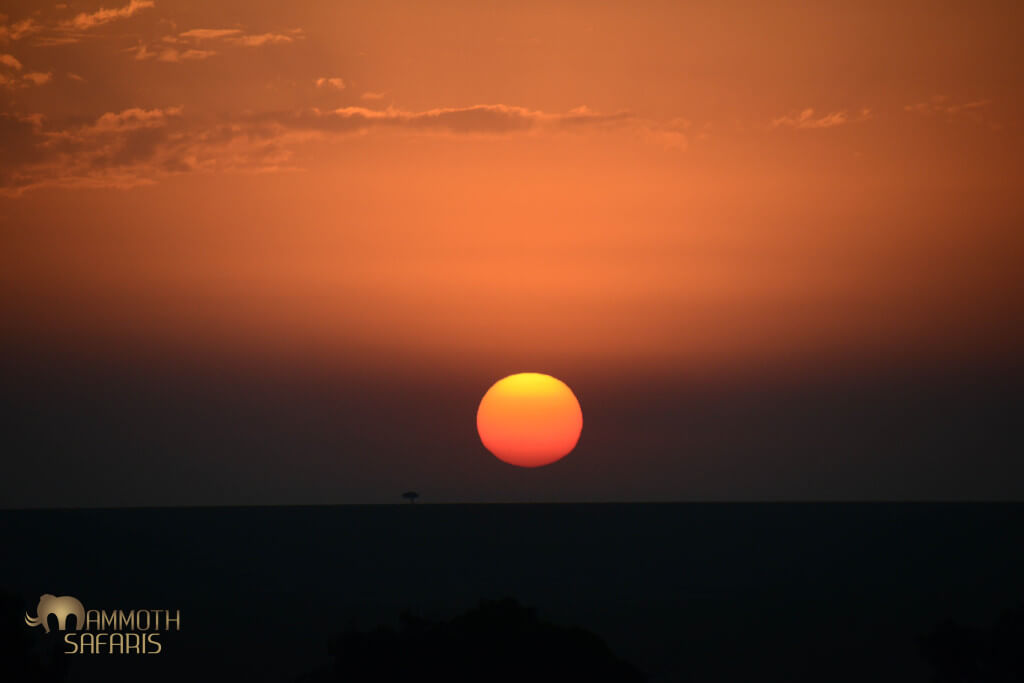 What an incredible way to start my day – sunrise over the Mara.