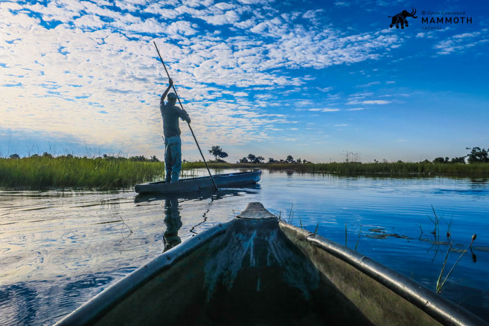 Vumbura – nothing plain about these plains