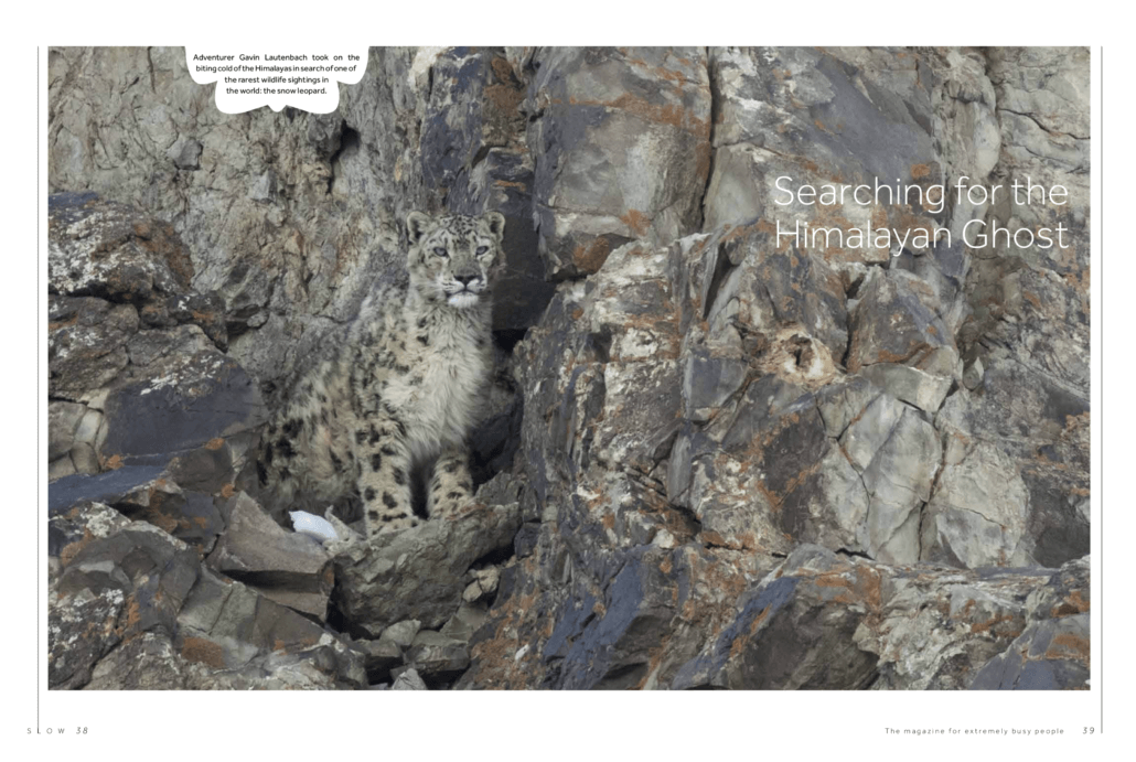 SLOW Magazine – Snow Leopard
